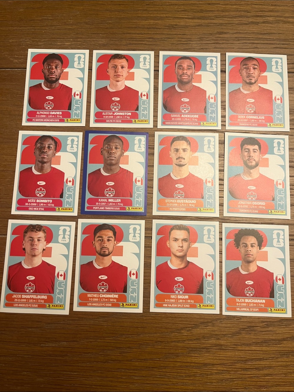 Panini Canada World Cup sticker lot